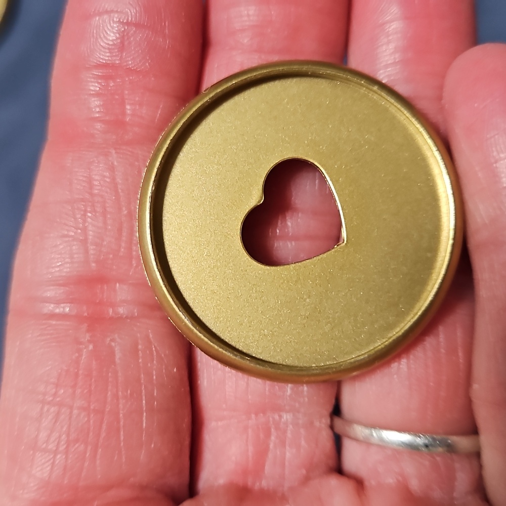 Gold Medium Planner Discs
